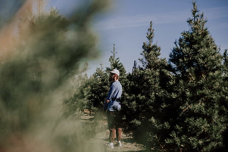 man standing beside pine tree thumbnail