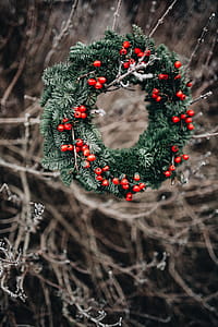 A Very Merry Fresh Holly Wreath for Christmas thumbnail