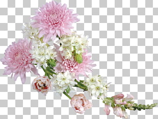 Flower , Transparent Soft Flower Arrangement , pink and white petaled flowers PNG clipart