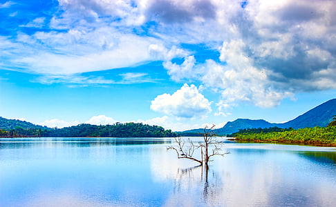 bare tree on large body of water near mountains under white and blue sky at daytime thumbnail