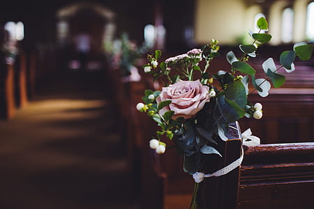 pink rose centerpiece thumbnail