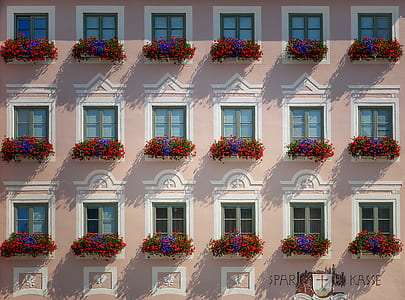 pink and white concrete building wallpaper thumbnail