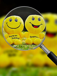 two yellow emoji plush toys in magnifying glass thumbnail