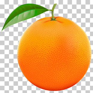 Grapefruit Orange Lemon , Red Orange , orange citrus fruit PNG clipart