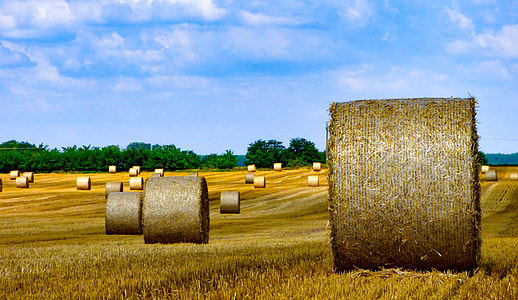 brown bale of hay thumbnail