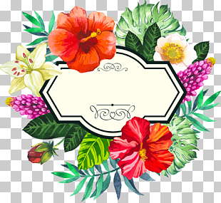Flower frame , Hand painted watercolor tropical borders, floral PNG clipart