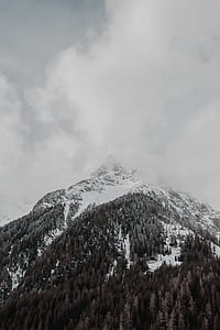 trees and snow covered mountain under white clouds thumbnail
