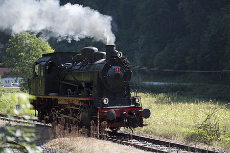Photo of Black and Brown Train thumbnail