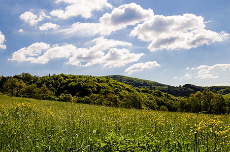 green grass and mountains thumbnail