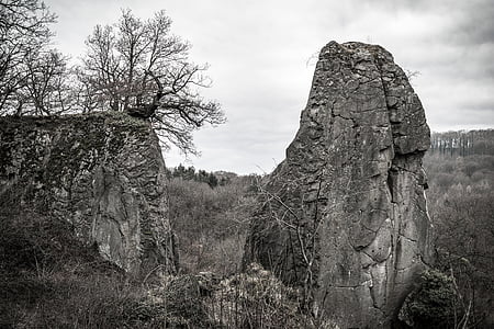 grayscale photography of mountain with trees thumbnail