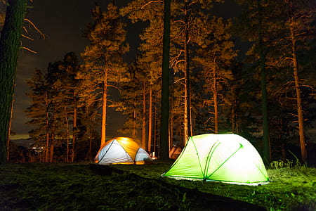 dome tent surrounded by trees thumbnail