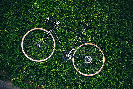 Bicycle In The Garden Photo thumbnail