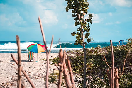 umbrella in front of wave of sea thumbnail