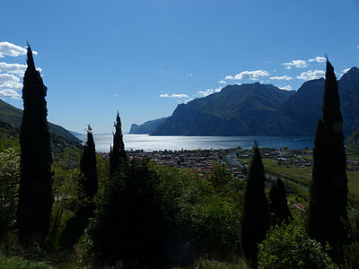green leafed tree beside water near mountain thumbnail
