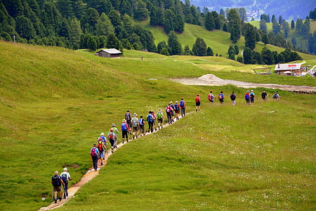 group of people walking on green field during daytime thumbnail