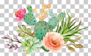 Wedding invitation Baby shower Cactaceae Party Bridal shower, Fleshy cactus flowers, flowers and cactus PNG clipart