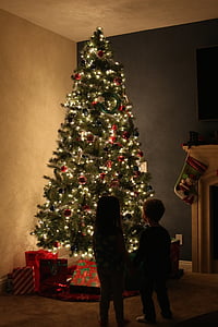 boy sitting in front of Christmas tree thumbnail