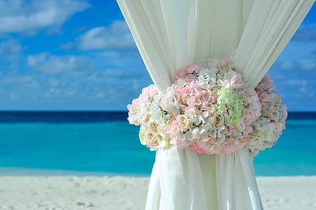 white curtain surrounded by flowers under blue sky thumbnail