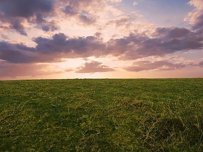 landscape photography of green grass field during day time thumbnail