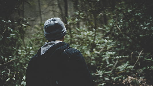 man surrounded by leaves during daytime thumbnail