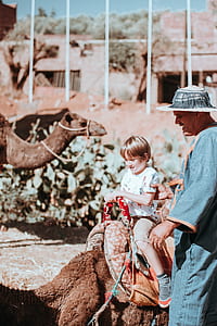 boy riding camel thumbnail