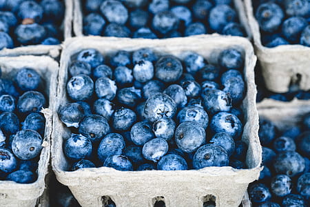blueberry lot thumbnail