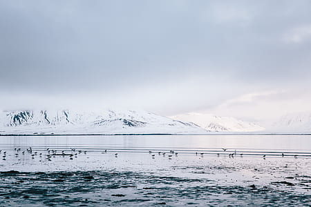 mountain covered by white snow near body of water during daytime thumbnail