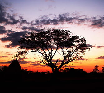 dawn, landscape, nature, sky thumbnail