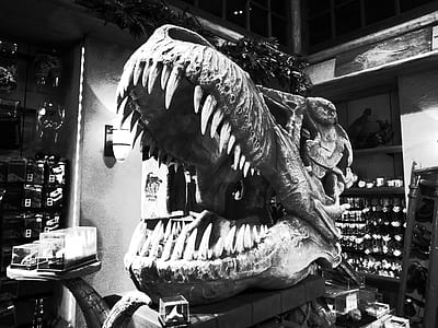 dinosaur head decor thumbnail