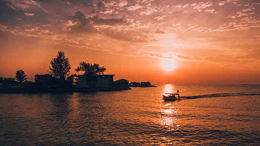 Silhouette of House and Trees by Water during Golden Hour thumbnail