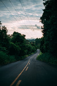 road, forest, trees, power lines thumbnail