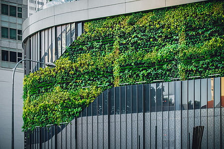 gray concrete building covered with green leafed plant thumbnail