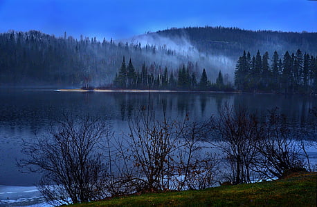 mountain covered with fog thumbnail