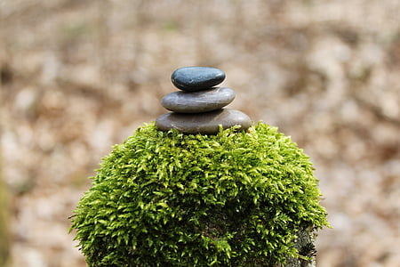 selective focus photo of stone stack on top of green plant thumbnail