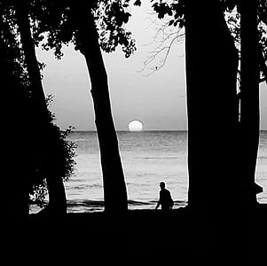 sea, black-and-white, beach, water thumbnail