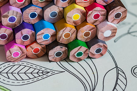 macro shot photography of coloring pencils thumbnail