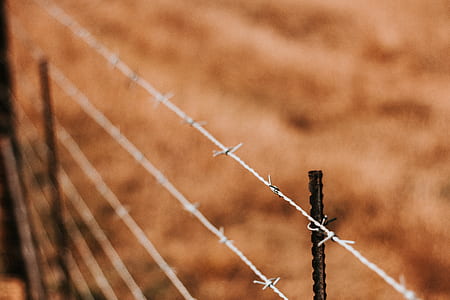 gray steel barb wire thumbnail
