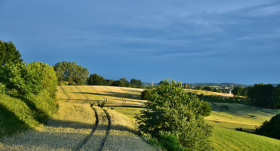 green grass field during daytime thumbnail