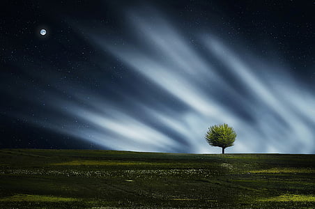 lone tree under the moon digital wallpaper thumbnail