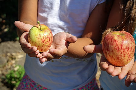 two ripe apples thumbnail