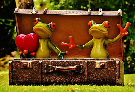 two green frogs on box thumbnail