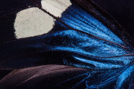 blue and white textile thumbnail