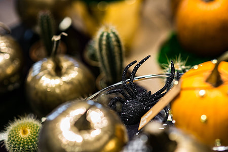 Golden ornamental pumpkins with cactuses thumbnail