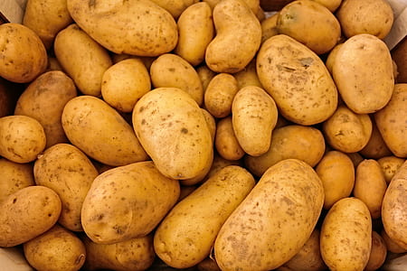 photography of brown potatoes thumbnail