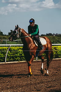 Man Riding Horse Under Sunny Sky thumbnail