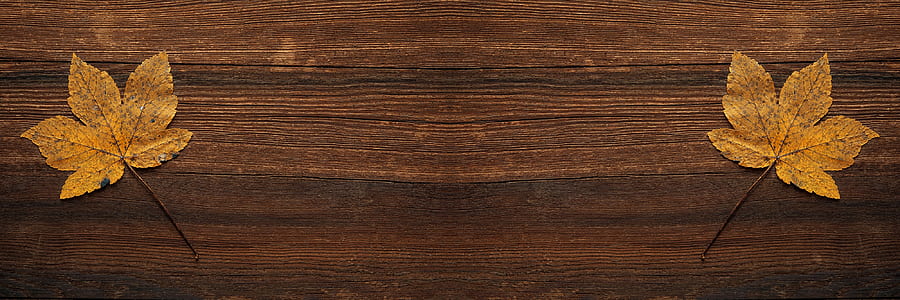 wood, dark, desk, leaves thumbnail