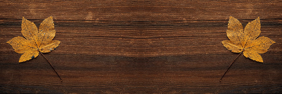 twp dried maple leaves on brown surface thumbnail