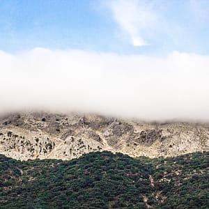 Green Trees Near Mountain Above Blue Sky thumbnail
