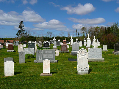 assorted-color tombstones on cemetery during daytime thumbnail