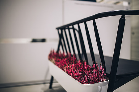 Plants in flowerpots on an exhibition thumbnail